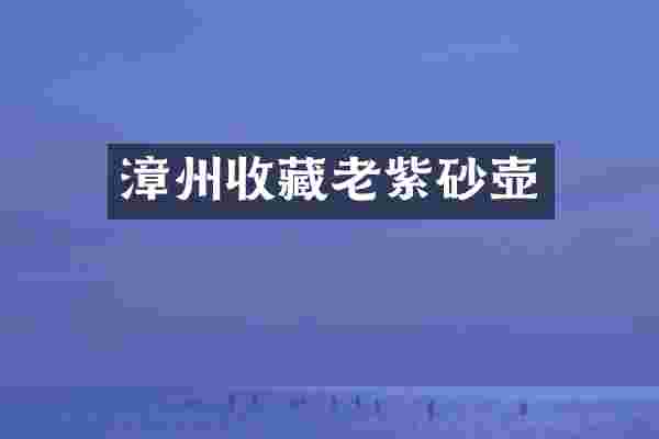 漳州收藏老紫砂壶