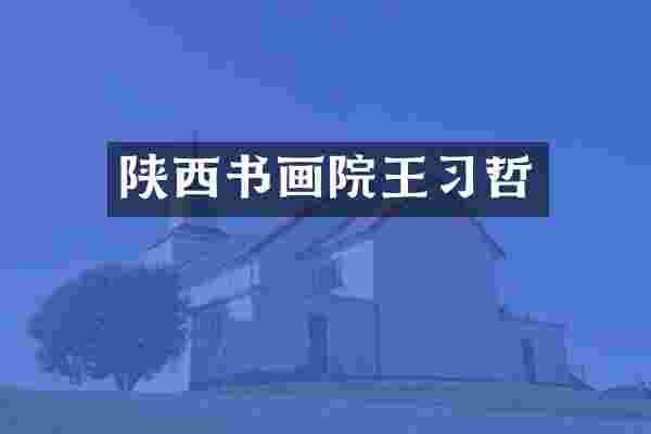陕西书画院王习哲