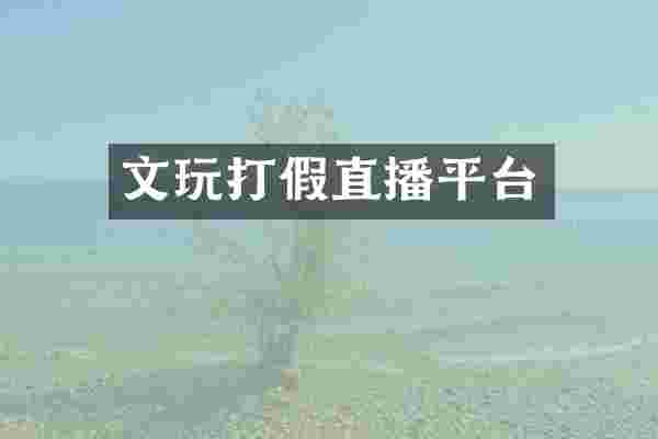 文玩打假直播平台