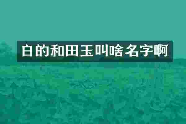 白的和田玉叫啥名字啊