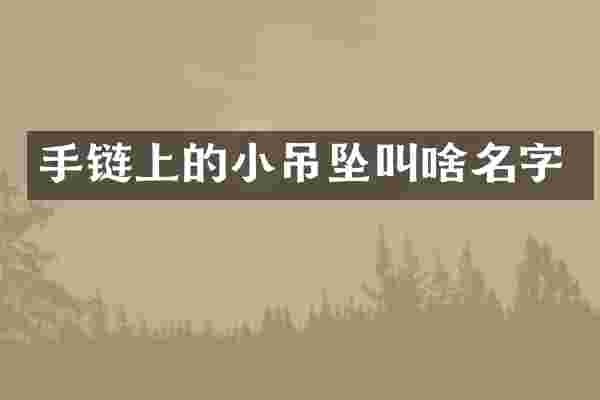 手链上的小吊坠叫啥名字