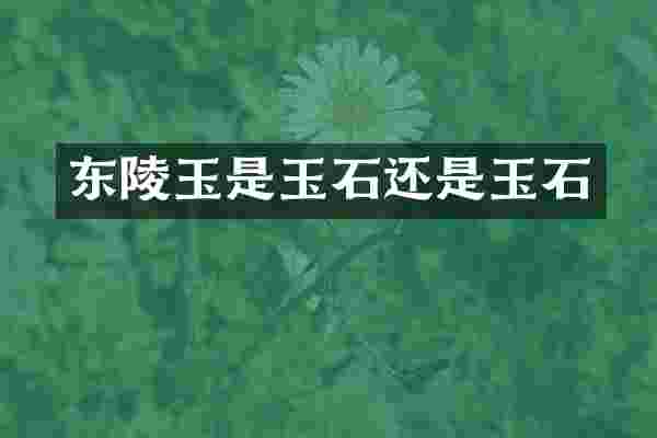 东陵玉是玉石还是玉石