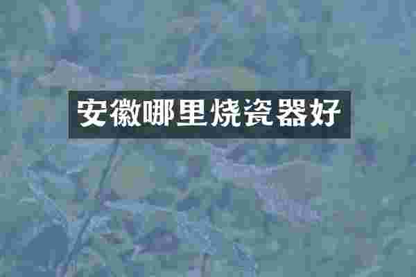 安徽哪里烧瓷器好