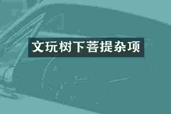 文玩树下菩提杂项