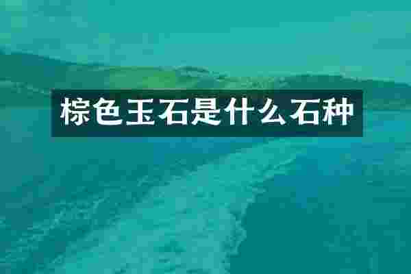 棕色玉石是什么石种