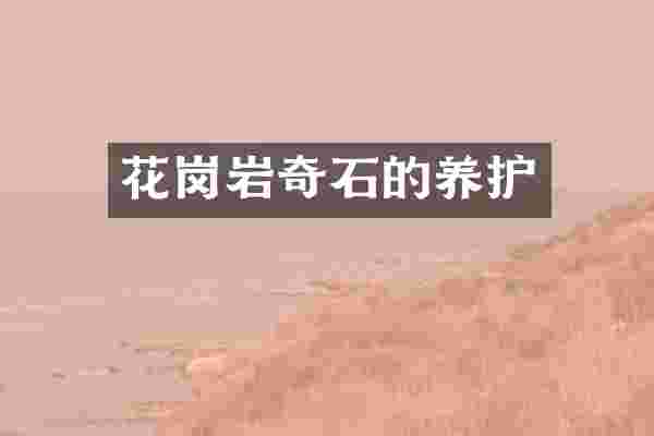 花岗岩奇石的养护