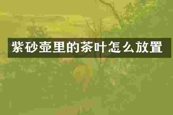 紫砂壶里的茶叶怎么放置