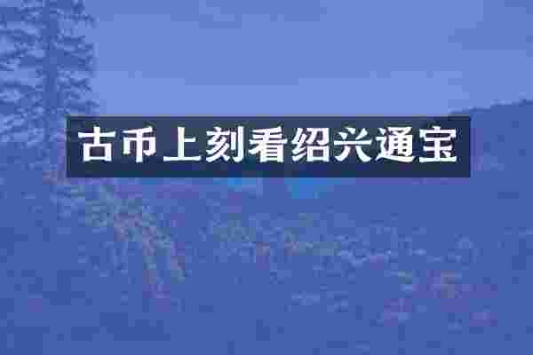 古币上刻看绍兴通宝