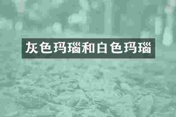 灰色玛瑙和白色玛瑙