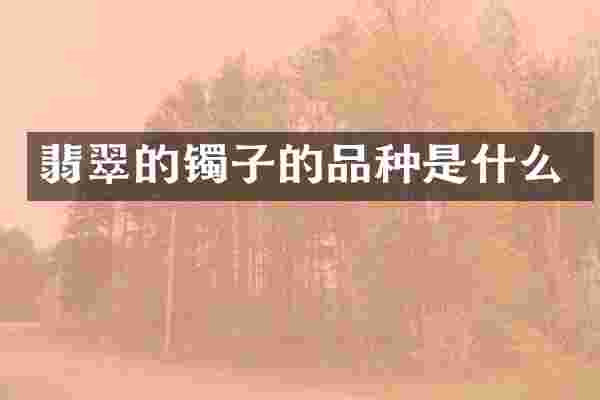 翡翠的镯子的品种是什么