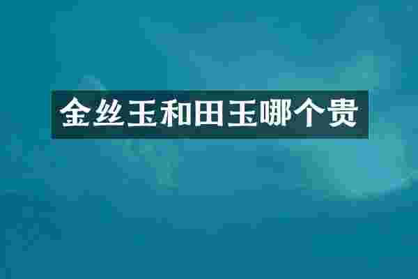 金丝玉和田玉哪个贵
