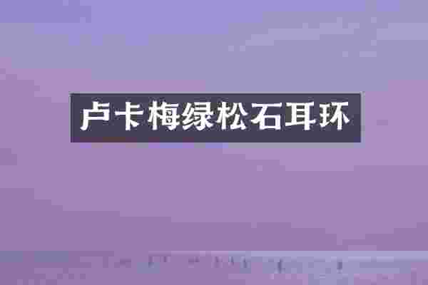 卢卡梅绿松石耳环