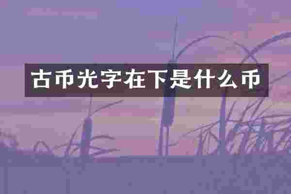 古币光字在下是什么币