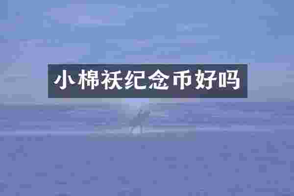 小棉袄纪念币好吗