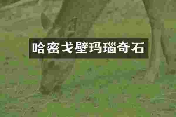 哈密戈壁玛瑙奇石