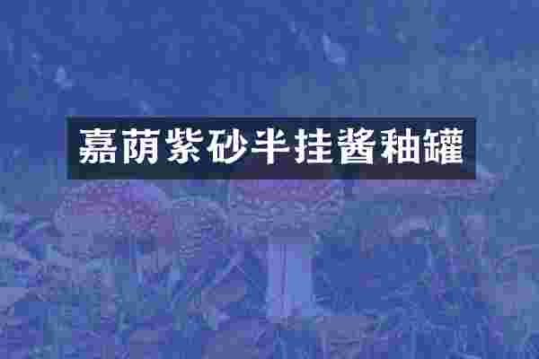 嘉荫紫砂半挂酱釉罐