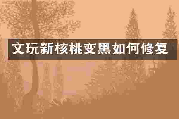 文玩新核桃变黑如何修复