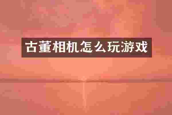 古董相机怎么玩游戏