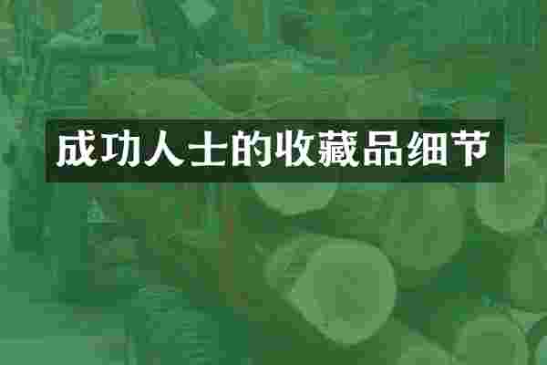 成功人士的收藏品细节