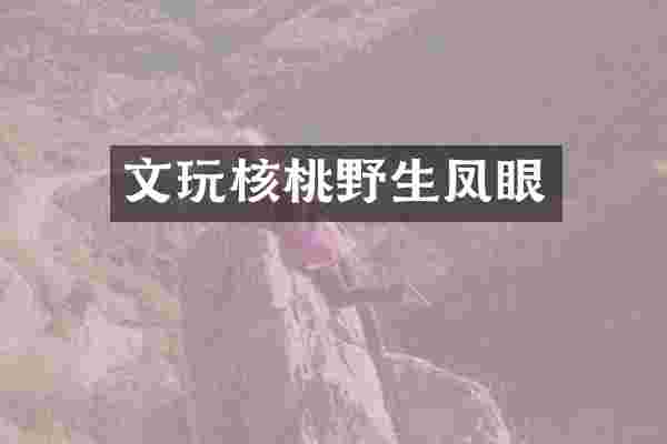 文玩核桃野生凤眼