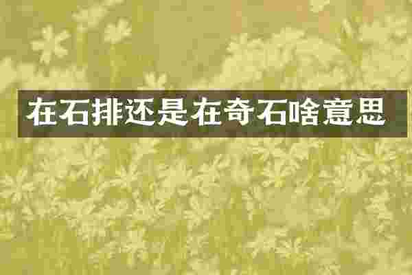 在石排还是在奇石啥意思