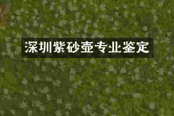 深圳紫砂壶专业鉴定