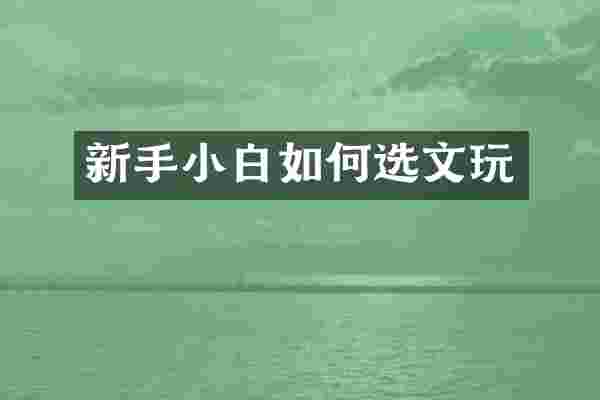 新手小白如何选文玩