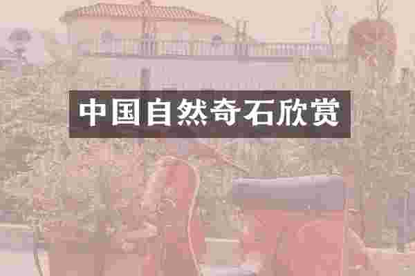 中国自然奇石欣赏