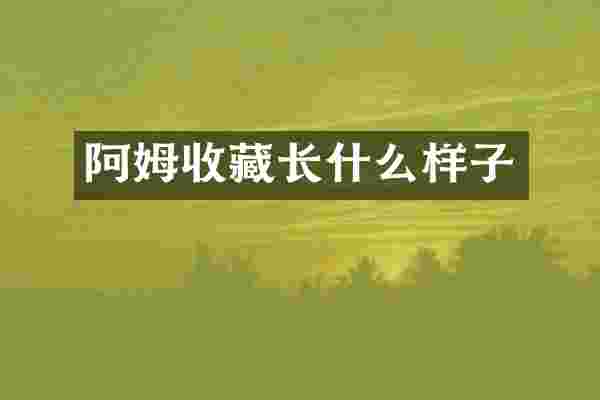 阿姆收藏长什么样子