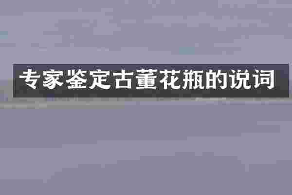 专家鉴定古董花瓶的说词