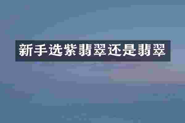 新手选紫翡翠还是翡翠