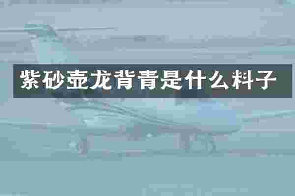 紫砂壶龙背青是什么料子