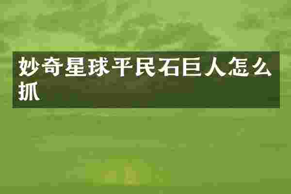 妙奇星球平民石巨人怎么抓
