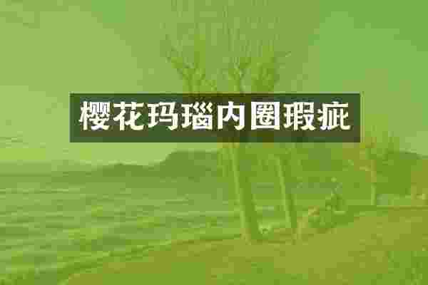 樱花玛瑙内圈瑕疵