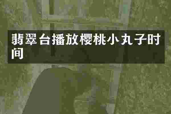 翡翠台播放樱桃小丸子时间