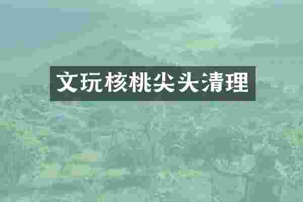 文玩核桃尖头清理