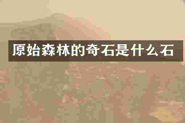 原始森林的奇石是什么石
