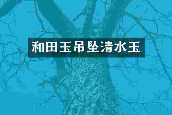 和田玉吊坠清水玉