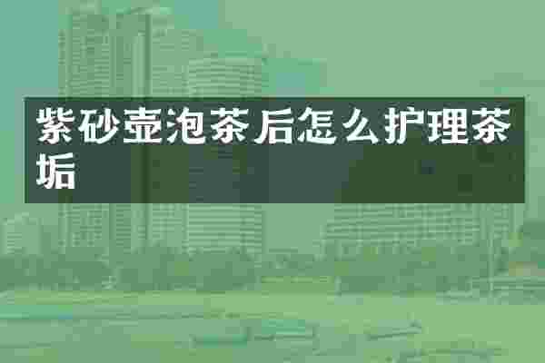 紫砂壶泡茶后怎么护理茶垢