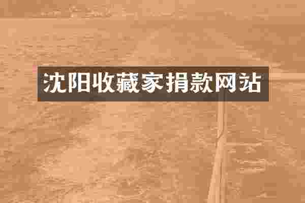 沈阳收藏家捐款网站