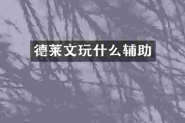 德莱文玩什么辅助