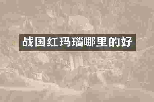 战国红玛瑙哪里的好