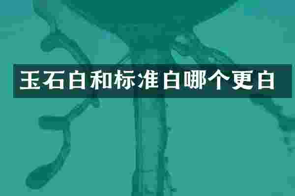 玉石白和标准白哪个更白