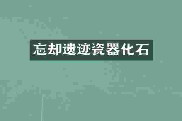 忘却遗迹瓷器化石