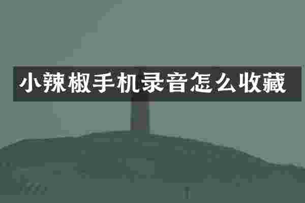 小辣椒手机录音怎么收藏