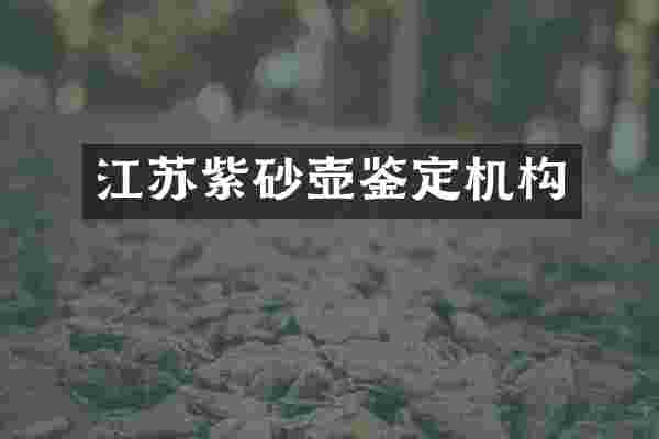 江苏紫砂壶鉴定机构