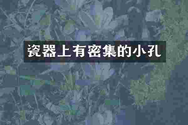 瓷器上有密集的小孔