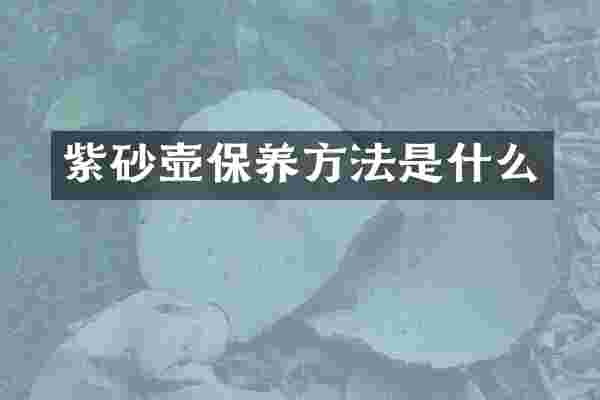 紫砂壶保养方法是什么