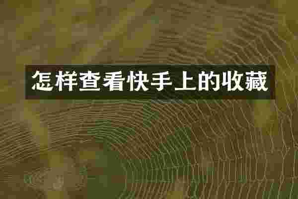 怎样查看快手上的收藏