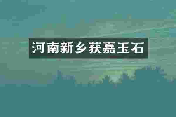 河南新乡获嘉玉石